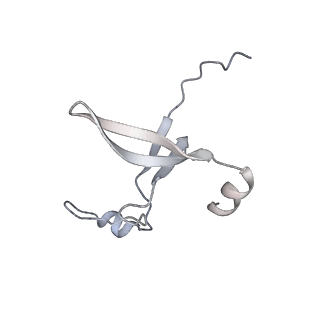 42439_8uox_DW_v1-1
Cryo-EM structure of a Counterclockwise locked form of the Salmonella enterica Typhimurium flagellar C-ring, with C34 symmetry applied