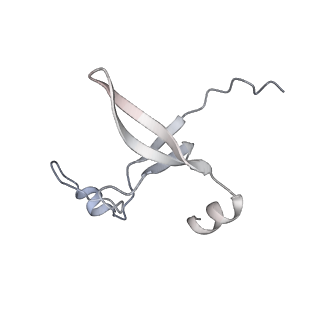 42439_8uox_DY_v1-1
Cryo-EM structure of a Counterclockwise locked form of the Salmonella enterica Typhimurium flagellar C-ring, with C34 symmetry applied