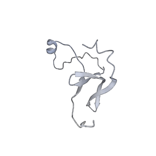 42439_8uox_E1_v1-1
Cryo-EM structure of a Counterclockwise locked form of the Salmonella enterica Typhimurium flagellar C-ring, with C34 symmetry applied