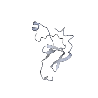 42439_8uox_E2_v1-1
Cryo-EM structure of a Counterclockwise locked form of the Salmonella enterica Typhimurium flagellar C-ring, with C34 symmetry applied