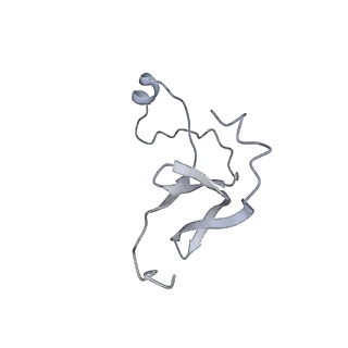 42439_8uox_E3_v1-0
Cryo-EM structure of a Counterclockwise locked form of the Salmonella enterica Typhimurium flagellar C-ring, with C34 symmetry applied