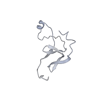 42439_8uox_E3_v1-1
Cryo-EM structure of a Counterclockwise locked form of the Salmonella enterica Typhimurium flagellar C-ring, with C34 symmetry applied