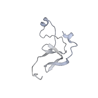 42439_8uox_E4_v1-1
Cryo-EM structure of a Counterclockwise locked form of the Salmonella enterica Typhimurium flagellar C-ring, with C34 symmetry applied