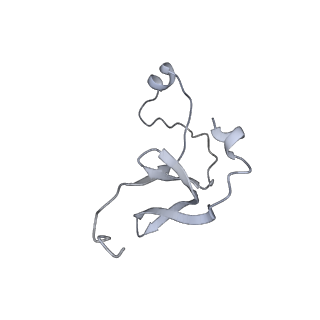42439_8uox_E5_v1-0
Cryo-EM structure of a Counterclockwise locked form of the Salmonella enterica Typhimurium flagellar C-ring, with C34 symmetry applied