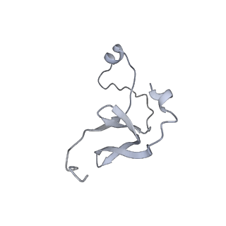 42439_8uox_E5_v1-1
Cryo-EM structure of a Counterclockwise locked form of the Salmonella enterica Typhimurium flagellar C-ring, with C34 symmetry applied