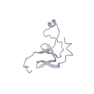 42439_8uox_E6_v1-1
Cryo-EM structure of a Counterclockwise locked form of the Salmonella enterica Typhimurium flagellar C-ring, with C34 symmetry applied