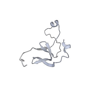 42439_8uox_E7_v1-0
Cryo-EM structure of a Counterclockwise locked form of the Salmonella enterica Typhimurium flagellar C-ring, with C34 symmetry applied