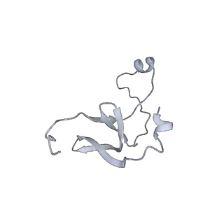 42439_8uox_E8_v1-1
Cryo-EM structure of a Counterclockwise locked form of the Salmonella enterica Typhimurium flagellar C-ring, with C34 symmetry applied