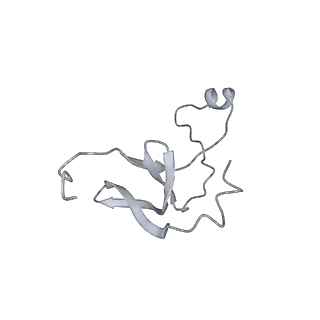 42439_8uox_E9_v1-1
Cryo-EM structure of a Counterclockwise locked form of the Salmonella enterica Typhimurium flagellar C-ring, with C34 symmetry applied