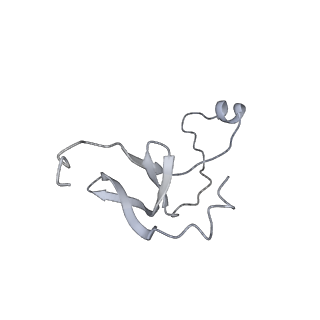 42439_8uox_EA_v1-0
Cryo-EM structure of a Counterclockwise locked form of the Salmonella enterica Typhimurium flagellar C-ring, with C34 symmetry applied