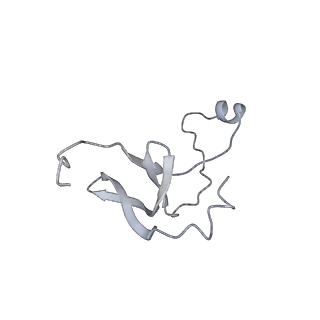 42439_8uox_EA_v1-1
Cryo-EM structure of a Counterclockwise locked form of the Salmonella enterica Typhimurium flagellar C-ring, with C34 symmetry applied