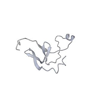 42439_8uox_EB_v1-1
Cryo-EM structure of a Counterclockwise locked form of the Salmonella enterica Typhimurium flagellar C-ring, with C34 symmetry applied