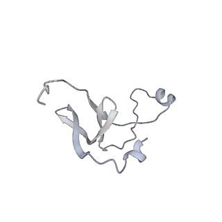 42439_8uox_EC_v1-1
Cryo-EM structure of a Counterclockwise locked form of the Salmonella enterica Typhimurium flagellar C-ring, with C34 symmetry applied