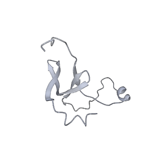 42439_8uox_EF_v1-1
Cryo-EM structure of a Counterclockwise locked form of the Salmonella enterica Typhimurium flagellar C-ring, with C34 symmetry applied