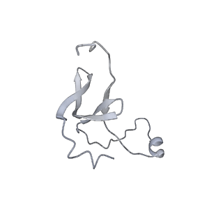 42439_8uox_EH_v1-1
Cryo-EM structure of a Counterclockwise locked form of the Salmonella enterica Typhimurium flagellar C-ring, with C34 symmetry applied