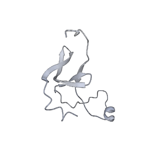 42439_8uox_EI_v1-1
Cryo-EM structure of a Counterclockwise locked form of the Salmonella enterica Typhimurium flagellar C-ring, with C34 symmetry applied