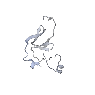 42439_8uox_EJ_v1-1
Cryo-EM structure of a Counterclockwise locked form of the Salmonella enterica Typhimurium flagellar C-ring, with C34 symmetry applied