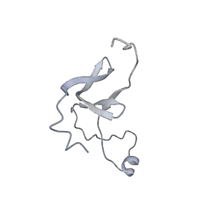 42439_8uox_EK_v1-1
Cryo-EM structure of a Counterclockwise locked form of the Salmonella enterica Typhimurium flagellar C-ring, with C34 symmetry applied