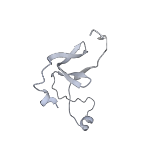 42439_8uox_EL_v1-1
Cryo-EM structure of a Counterclockwise locked form of the Salmonella enterica Typhimurium flagellar C-ring, with C34 symmetry applied