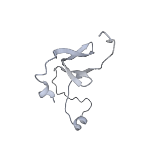 42439_8uox_EM_v1-1
Cryo-EM structure of a Counterclockwise locked form of the Salmonella enterica Typhimurium flagellar C-ring, with C34 symmetry applied