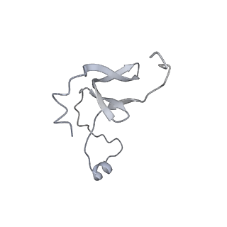 42439_8uox_EN_v1-1
Cryo-EM structure of a Counterclockwise locked form of the Salmonella enterica Typhimurium flagellar C-ring, with C34 symmetry applied