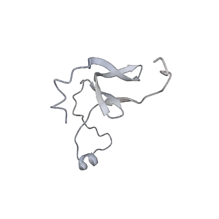 42439_8uox_EO_v1-0
Cryo-EM structure of a Counterclockwise locked form of the Salmonella enterica Typhimurium flagellar C-ring, with C34 symmetry applied