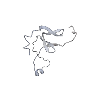 42439_8uox_EO_v1-1
Cryo-EM structure of a Counterclockwise locked form of the Salmonella enterica Typhimurium flagellar C-ring, with C34 symmetry applied