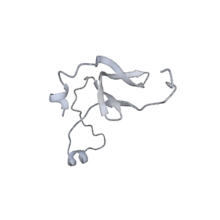 42439_8uox_EP_v1-0
Cryo-EM structure of a Counterclockwise locked form of the Salmonella enterica Typhimurium flagellar C-ring, with C34 symmetry applied