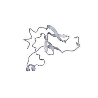42439_8uox_EQ_v1-0
Cryo-EM structure of a Counterclockwise locked form of the Salmonella enterica Typhimurium flagellar C-ring, with C34 symmetry applied