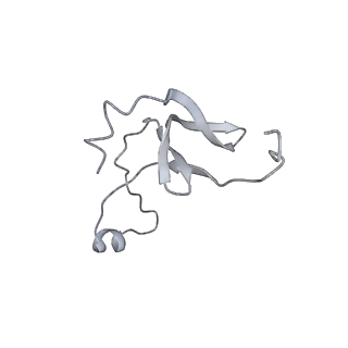 42439_8uox_EQ_v1-1
Cryo-EM structure of a Counterclockwise locked form of the Salmonella enterica Typhimurium flagellar C-ring, with C34 symmetry applied