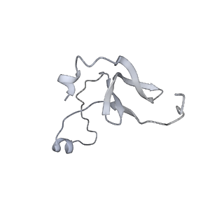 42439_8uox_ER_v1-1
Cryo-EM structure of a Counterclockwise locked form of the Salmonella enterica Typhimurium flagellar C-ring, with C34 symmetry applied