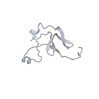 42439_8uox_ES_v1-0
Cryo-EM structure of a Counterclockwise locked form of the Salmonella enterica Typhimurium flagellar C-ring, with C34 symmetry applied