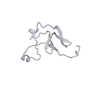 42439_8uox_ES_v1-1
Cryo-EM structure of a Counterclockwise locked form of the Salmonella enterica Typhimurium flagellar C-ring, with C34 symmetry applied