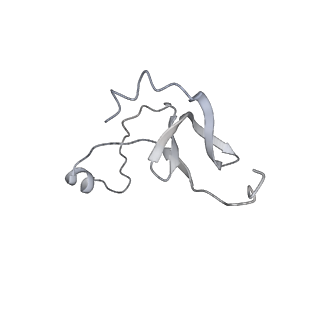 42439_8uox_ET_v1-0
Cryo-EM structure of a Counterclockwise locked form of the Salmonella enterica Typhimurium flagellar C-ring, with C34 symmetry applied