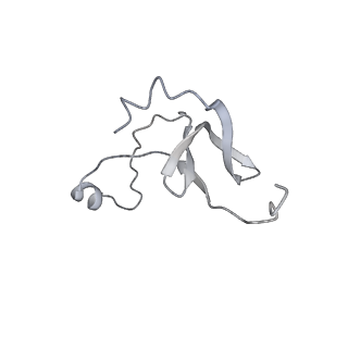 42439_8uox_ET_v1-1
Cryo-EM structure of a Counterclockwise locked form of the Salmonella enterica Typhimurium flagellar C-ring, with C34 symmetry applied