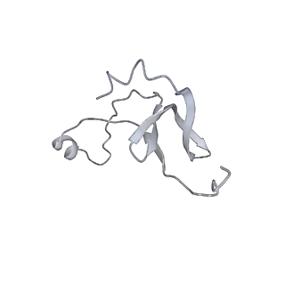 42439_8uox_EU_v1-0
Cryo-EM structure of a Counterclockwise locked form of the Salmonella enterica Typhimurium flagellar C-ring, with C34 symmetry applied