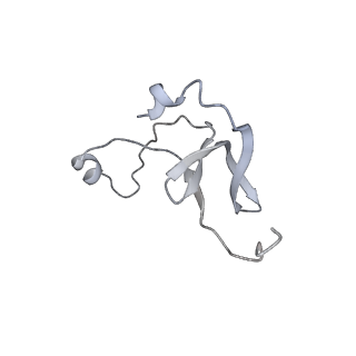 42439_8uox_EV_v1-0
Cryo-EM structure of a Counterclockwise locked form of the Salmonella enterica Typhimurium flagellar C-ring, with C34 symmetry applied