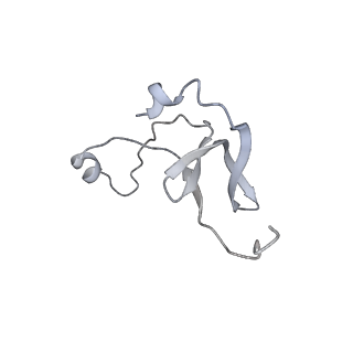 42439_8uox_EV_v1-1
Cryo-EM structure of a Counterclockwise locked form of the Salmonella enterica Typhimurium flagellar C-ring, with C34 symmetry applied