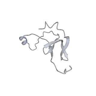 42439_8uox_EW_v1-0
Cryo-EM structure of a Counterclockwise locked form of the Salmonella enterica Typhimurium flagellar C-ring, with C34 symmetry applied