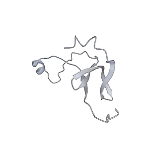 42439_8uox_EW_v1-1
Cryo-EM structure of a Counterclockwise locked form of the Salmonella enterica Typhimurium flagellar C-ring, with C34 symmetry applied