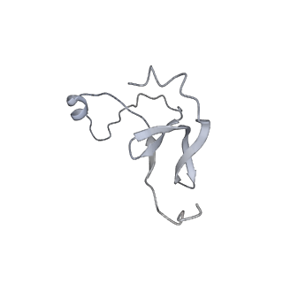 42439_8uox_EX_v1-1
Cryo-EM structure of a Counterclockwise locked form of the Salmonella enterica Typhimurium flagellar C-ring, with C34 symmetry applied