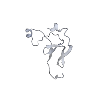 42439_8uox_EY_v1-0
Cryo-EM structure of a Counterclockwise locked form of the Salmonella enterica Typhimurium flagellar C-ring, with C34 symmetry applied
