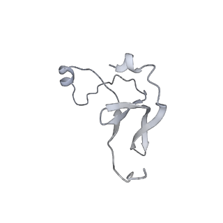 42439_8uox_EY_v1-1
Cryo-EM structure of a Counterclockwise locked form of the Salmonella enterica Typhimurium flagellar C-ring, with C34 symmetry applied