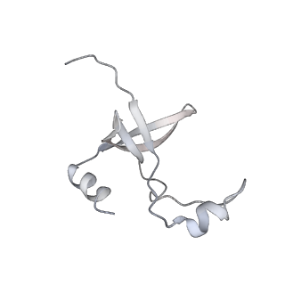 42439_8uox_F1_v1-0
Cryo-EM structure of a Counterclockwise locked form of the Salmonella enterica Typhimurium flagellar C-ring, with C34 symmetry applied