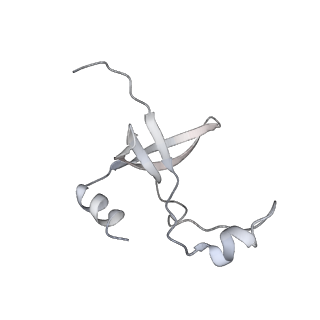 42439_8uox_F1_v1-1
Cryo-EM structure of a Counterclockwise locked form of the Salmonella enterica Typhimurium flagellar C-ring, with C34 symmetry applied