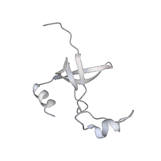 42439_8uox_F2_v1-1
Cryo-EM structure of a Counterclockwise locked form of the Salmonella enterica Typhimurium flagellar C-ring, with C34 symmetry applied