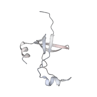 42439_8uox_F4_v1-1
Cryo-EM structure of a Counterclockwise locked form of the Salmonella enterica Typhimurium flagellar C-ring, with C34 symmetry applied