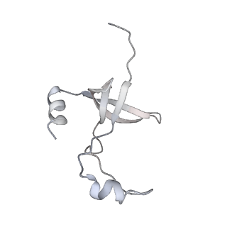 42439_8uox_F5_v1-1
Cryo-EM structure of a Counterclockwise locked form of the Salmonella enterica Typhimurium flagellar C-ring, with C34 symmetry applied