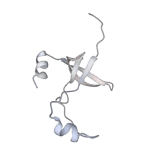 42439_8uox_F6_v1-1
Cryo-EM structure of a Counterclockwise locked form of the Salmonella enterica Typhimurium flagellar C-ring, with C34 symmetry applied