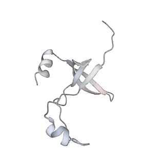 42439_8uox_F7_v1-1
Cryo-EM structure of a Counterclockwise locked form of the Salmonella enterica Typhimurium flagellar C-ring, with C34 symmetry applied